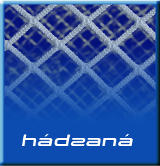 Hdzan - floorball